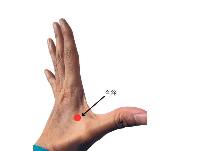 Discover the Hegu Point(LI4合谷): Your Guide to Acupressure&nbsp;Relief