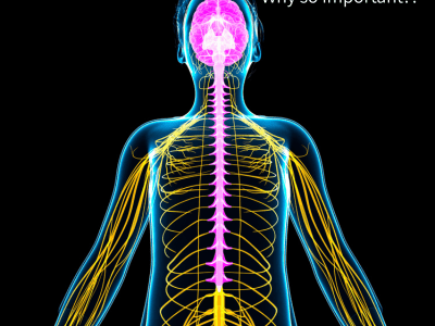 Top 3 Ways to Support Your Vagus&nbsp;Nerve